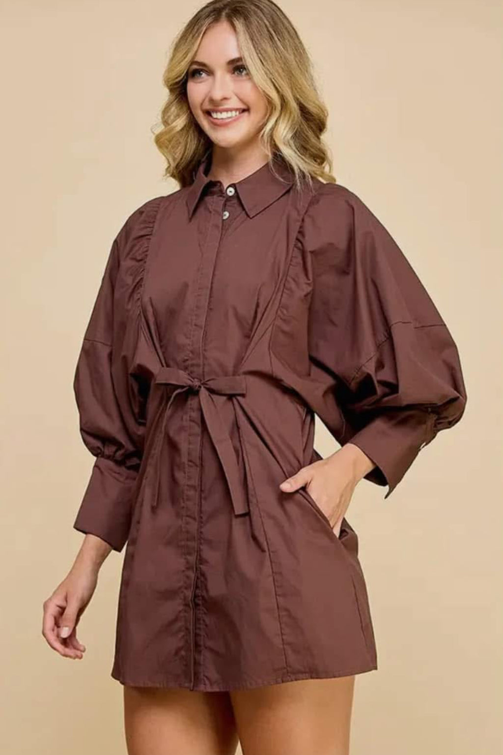 Statement Sleeve Mini Dress